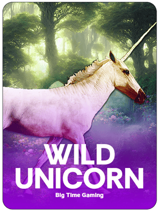 Wild Unicorns